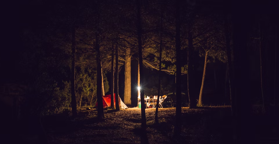 LED Camping Light, Outdoor Camping LED Light ,Tripod outdoor camping light ,Outdoor lighting LED lights